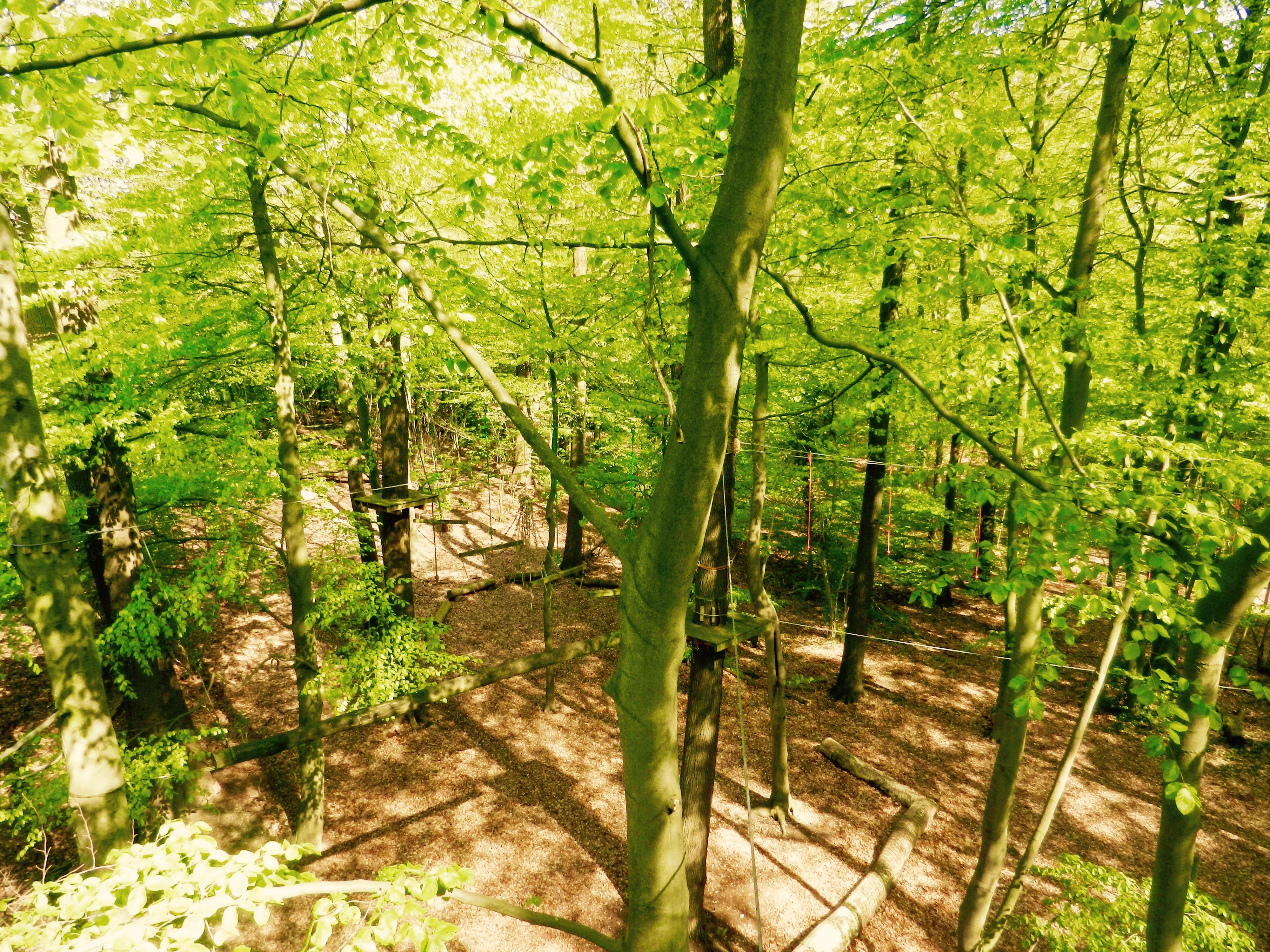 Gruppenbereich des Kletterwaldes Ibbenbüren von oben